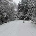 Des Fontaines Claires Chalet *