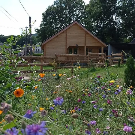 Des Fontaines Claires *