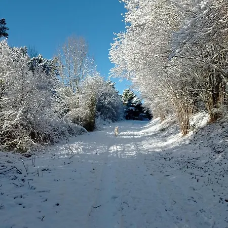 Des Fontaines Claires Aydat