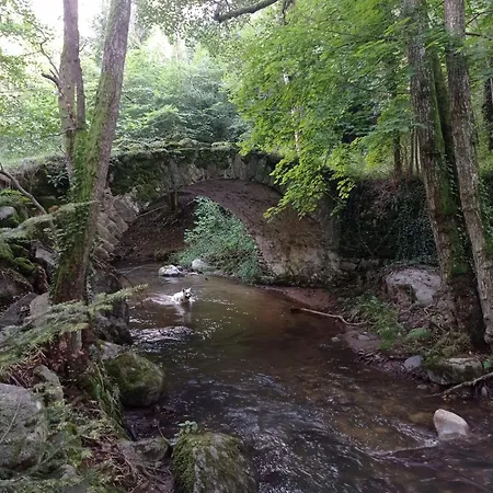 Des Fontaines Claires * Aydat