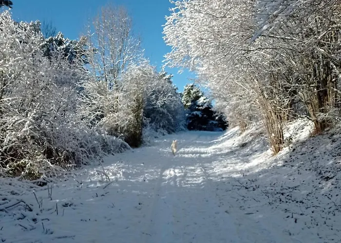 Des Fontaines Claires Aydat