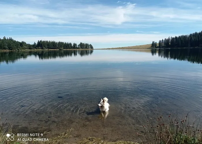 Des Fontaines Claires Alpstuga