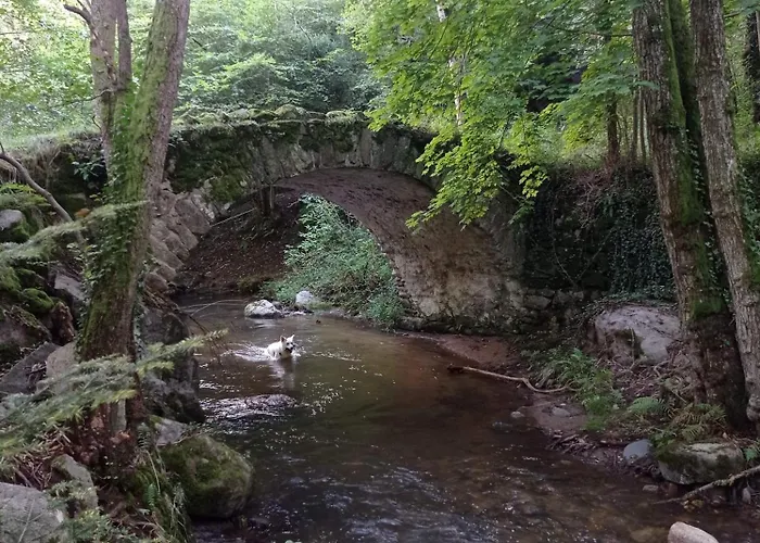 Des Fontaines Claires * Aydat